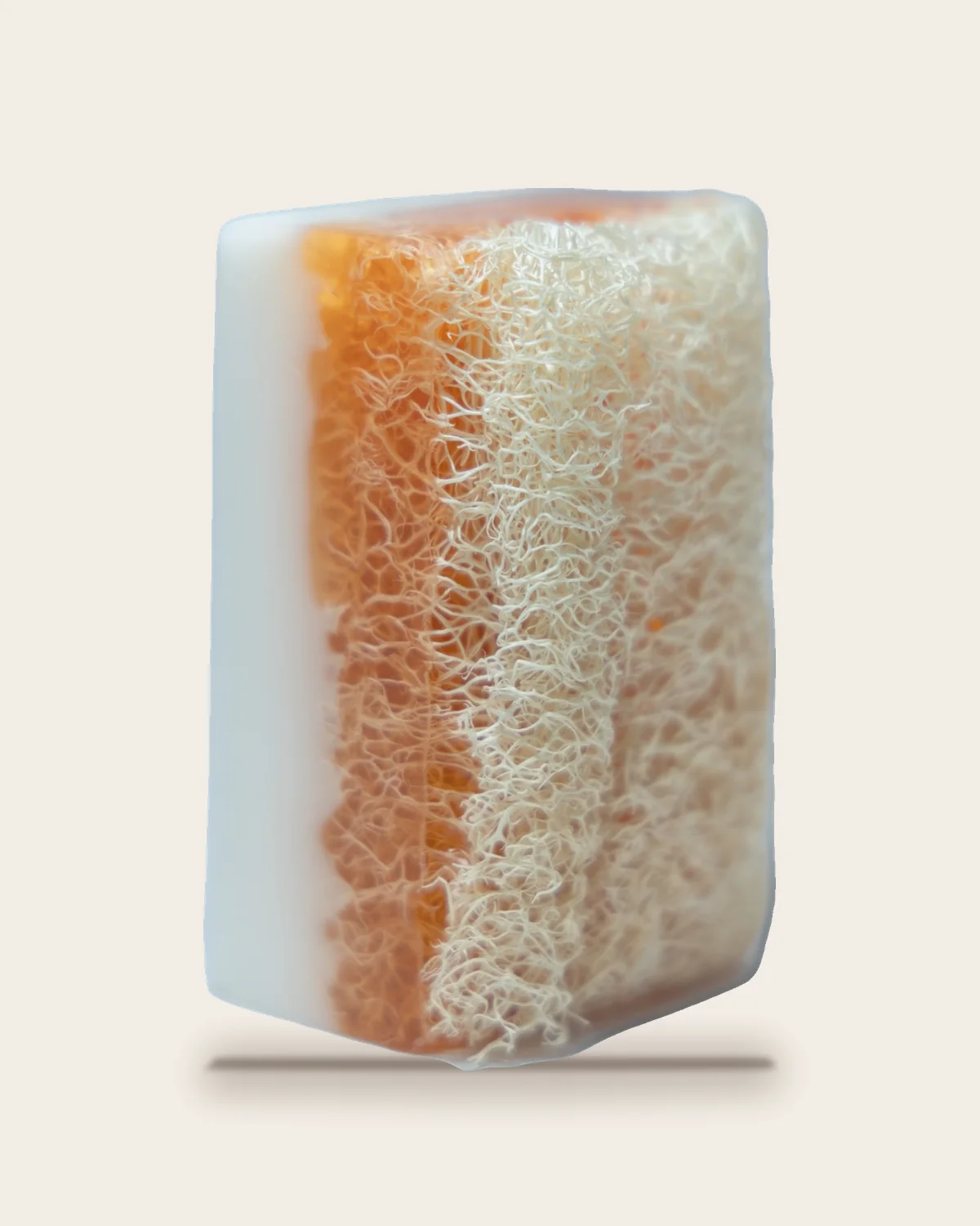 Un savon Horizon debout : la fibre de luffa prise dans la couche orange translucide, au-dessus d'une couche blanche