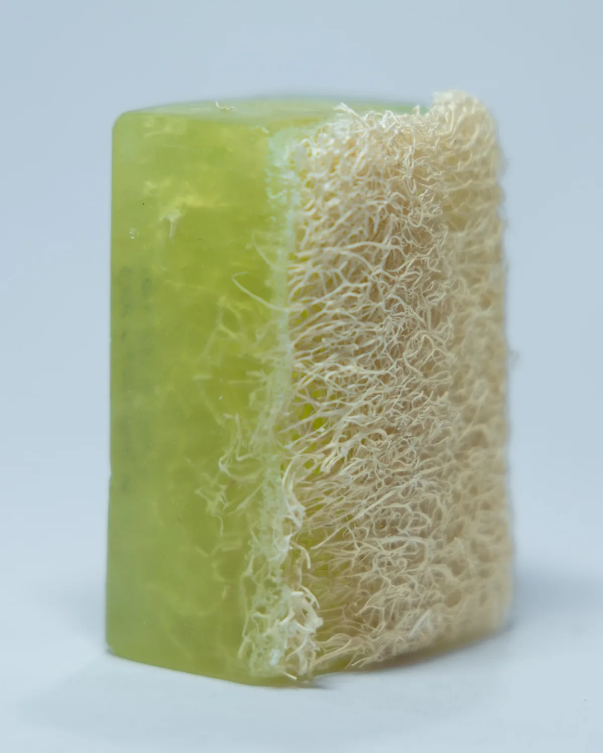 Gros plan sur la fibre de luffa d'un savon Rosée